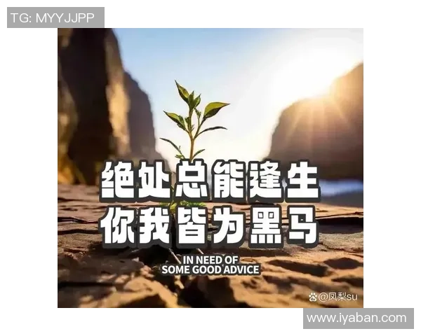 从巅峰到低谷：那些坠落的足球明星们的沉浮人生